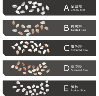 大米的分類及等級