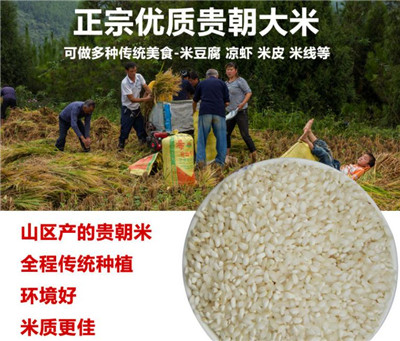 做米皮用的是什么品種的米？主要產區在哪兒？在哪能買到？